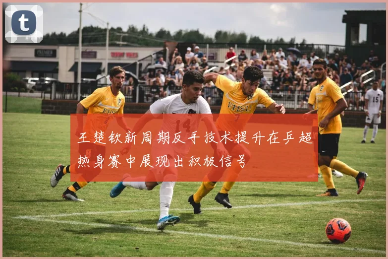 王楚钦新周期反手技术提升在乒超热身赛中展现出积极信号